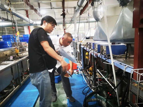 規(guī)范廠中廠，服務(wù)小微園 樂清翁垟街道多措并舉繃緊企業(yè)生產(chǎn)安全弦